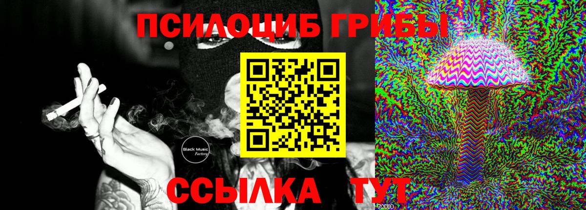 Галлюциногенные грибы Psilocybe  Вход с VPN  купить закладку  Губкинский 